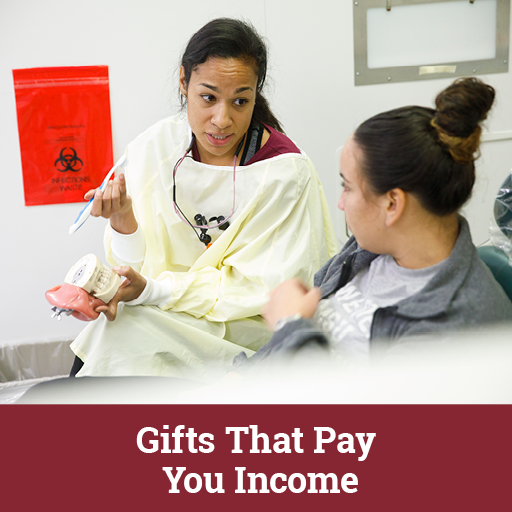 Photo of two students. Links to Gifts That Pay You Income